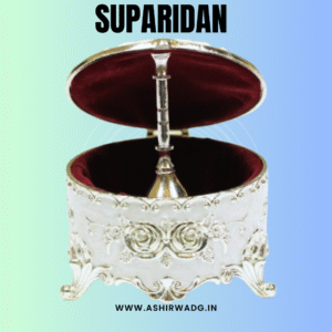Silver Plated Vintage-Inspired Supari Dan Box