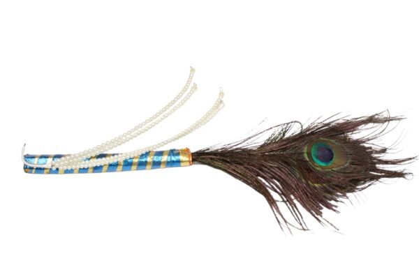 Peacock Feathers Mor Chadi - Image 2