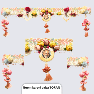 NEEMKARORI BABA JI DIWALI TORAN